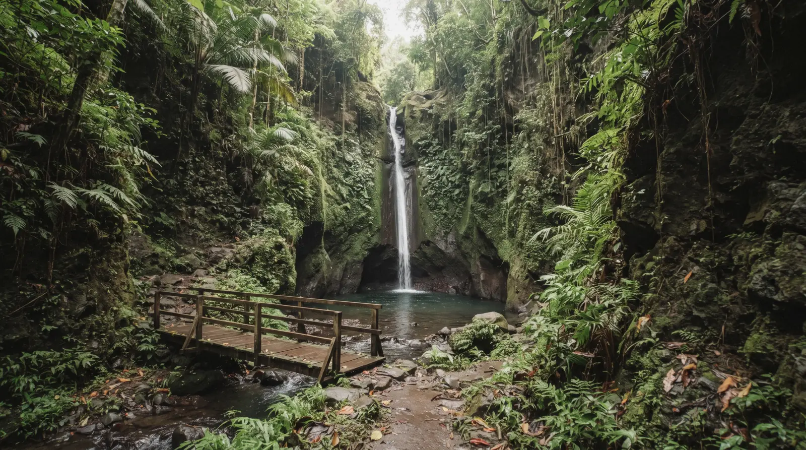 A tall narrow white ribbon of water dropping about 30 meters between mossy rock walls into a shallow pool, framed by green jungle leaves and ferns in a narrow gorge in Tabanan Regency, central Bali, at leke leke waterfall near Bedugul