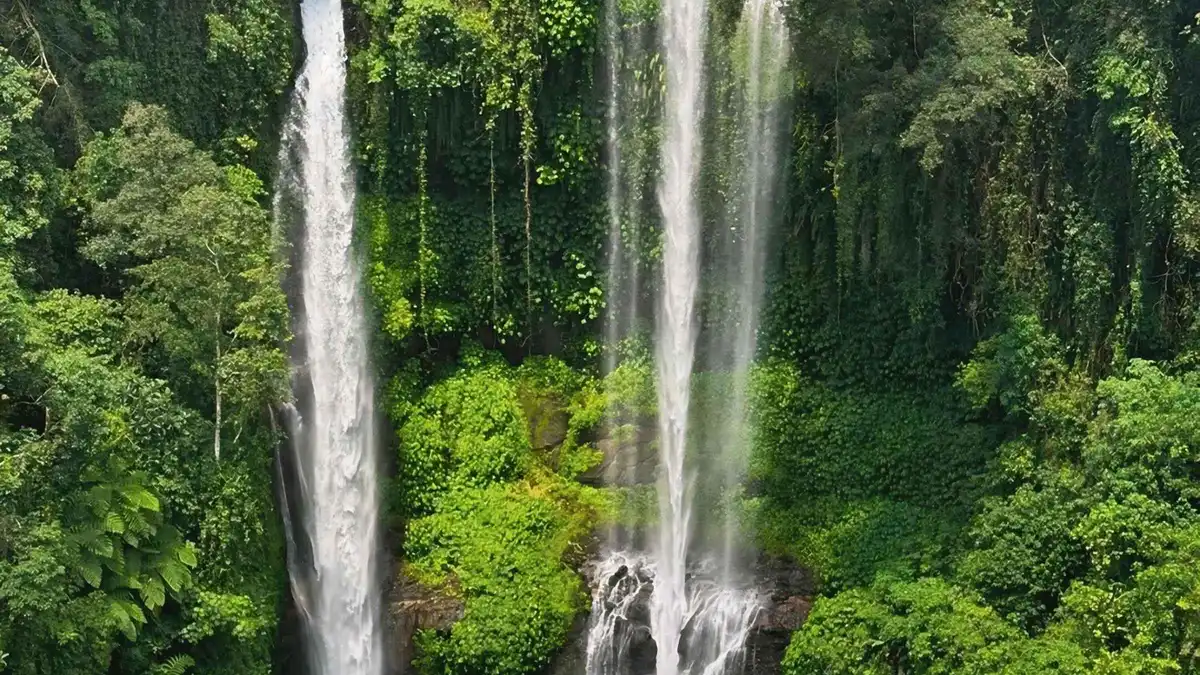 Sekumpul waterfall seen from the viewpoint above the valley on a North Bali waterfall tour from Ubud
