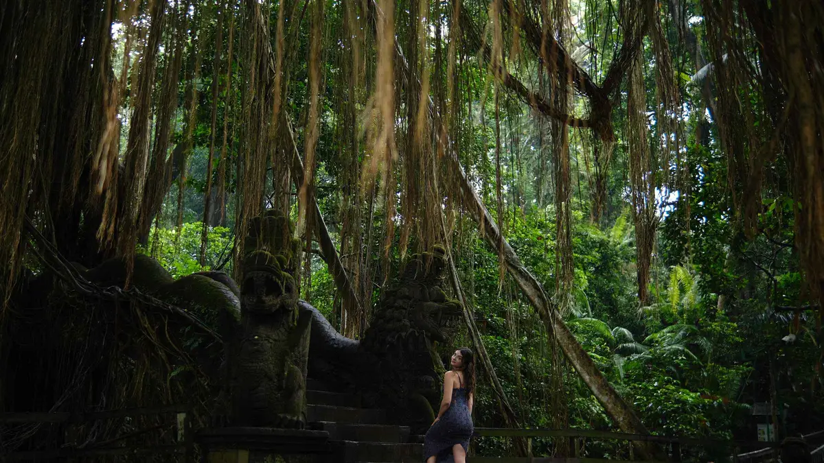 Leke Leke waterfall dropping through a narrow jungle gorge in Tabanan on a Bali waterfall tour